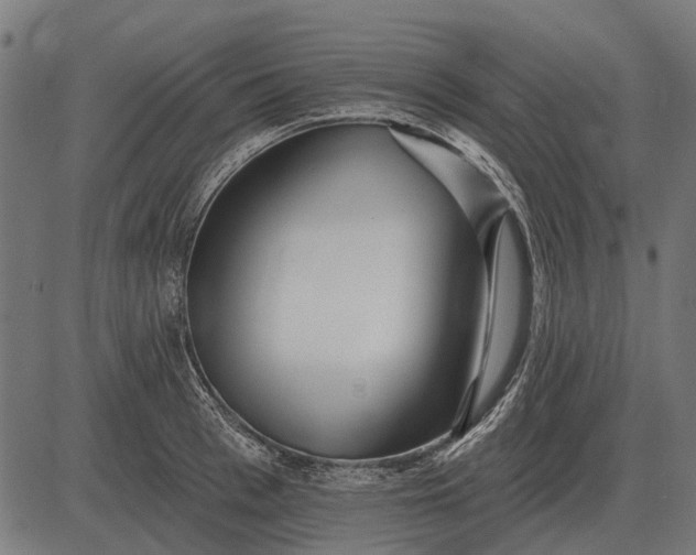 X0000082730993200702091833