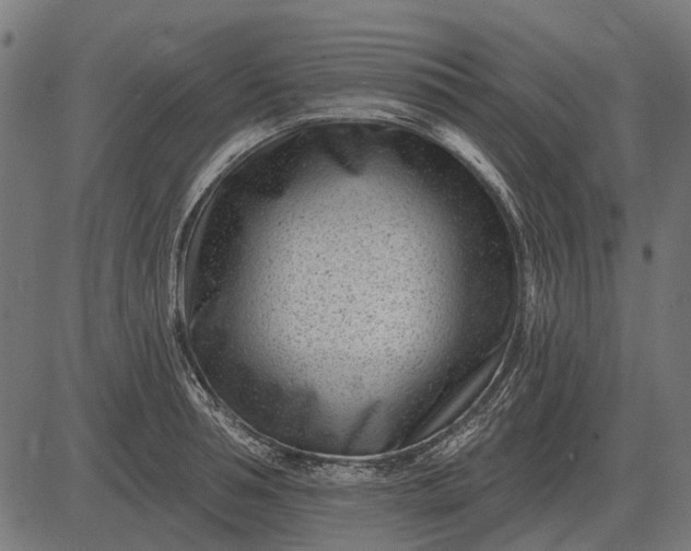 X0000082730994200702091833