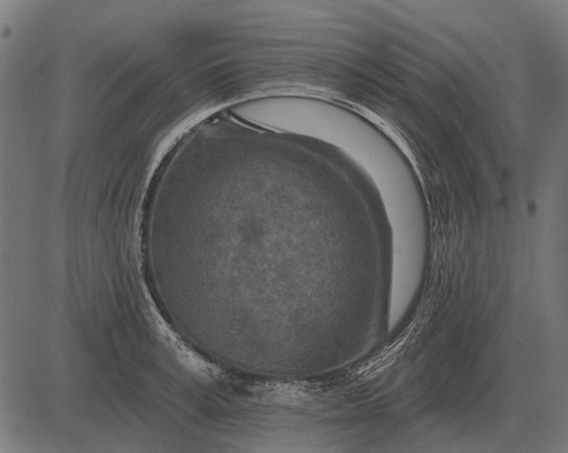 X0000082730995200702091833