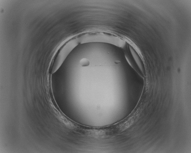 X0000082730996200702091833