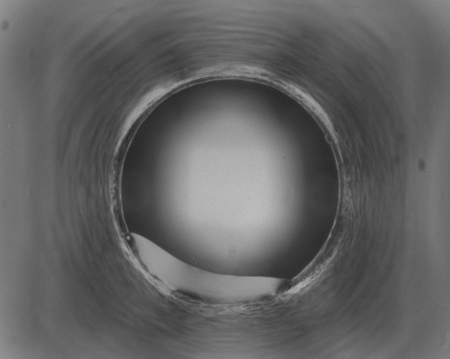 X0000082730997200702091833