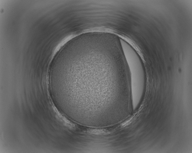 X0000082730998200702091833