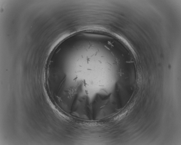 X0000082730999200702091833