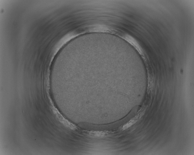 X0000082731000200702091833