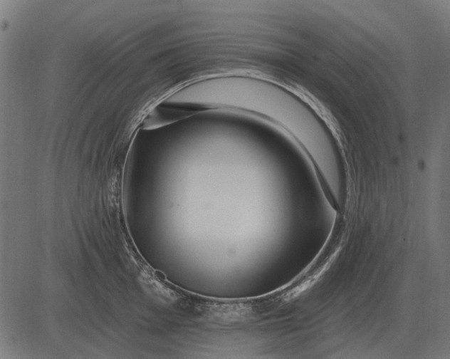 X0000082731001200702091833