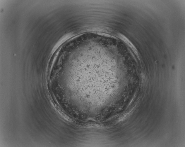 X0000082731002200702091833