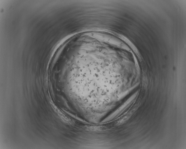 X0000082731004200702091833