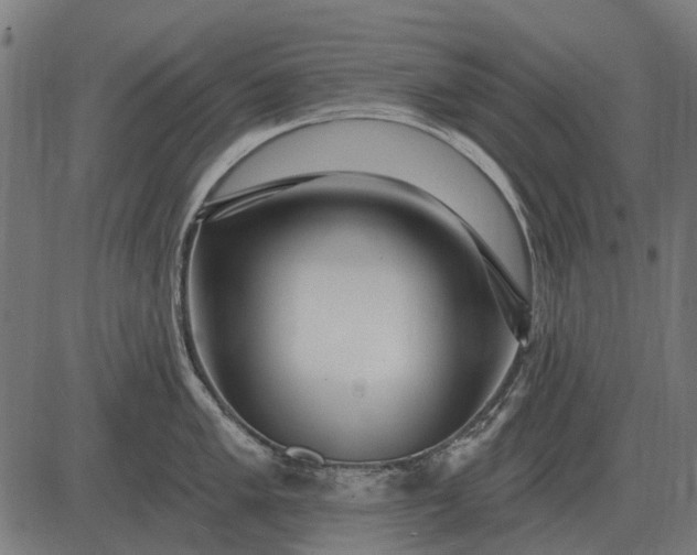 X0000082731005200702091833