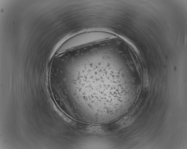 X0000082731006200702091833