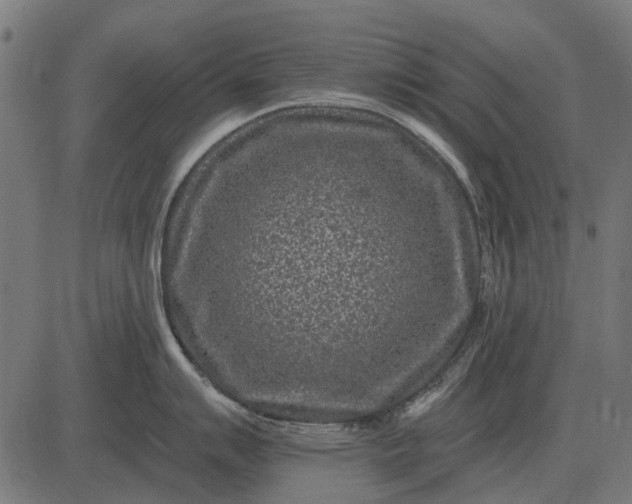 X0000082731007200702091833