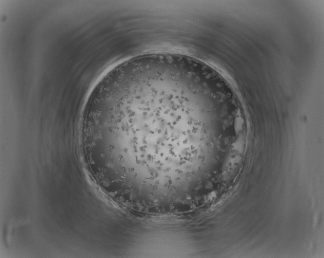 X0000082731008200702091833