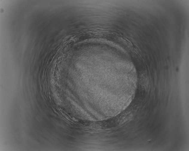 X0000082731009200702091832