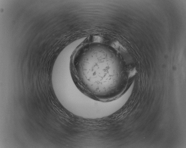 X0000082731010200702091832