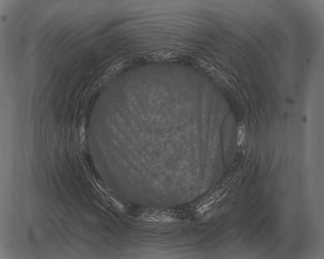 X0000082731011200702091832