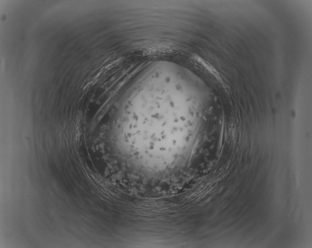 X0000082731012200702091832