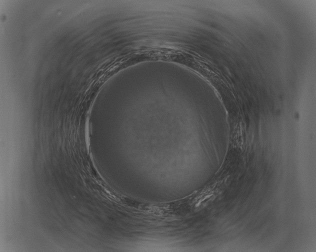 X0000082731013200702091832