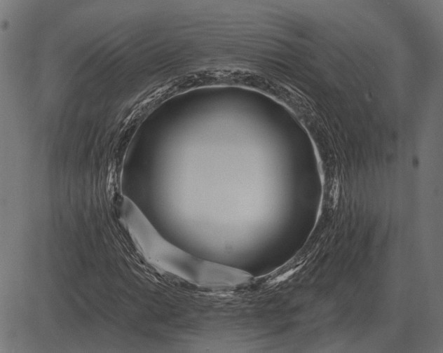 X0000082731014200702091832