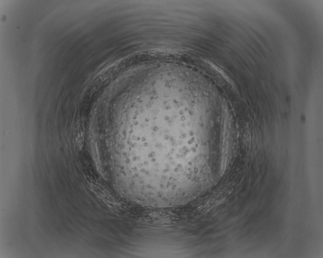 X0000082731015200702091832