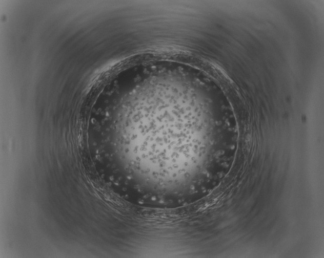 X0000082731016200702091832