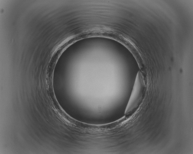 X0000082731018200702091832