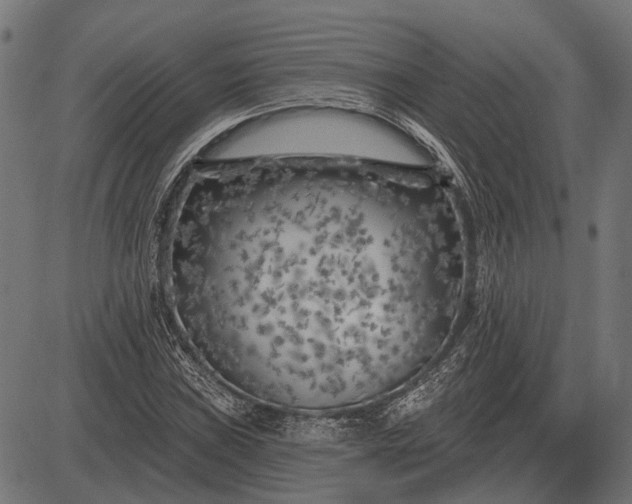 X0000082731019200702091832