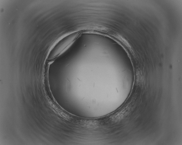 X0000082731020200702091832