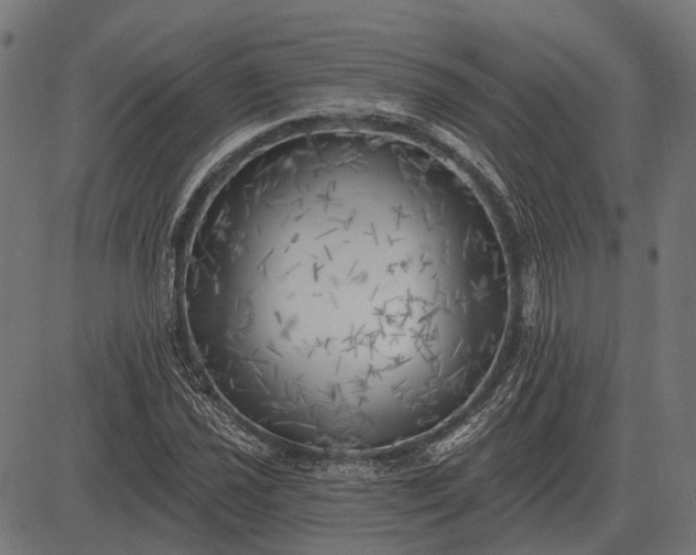 X0000082731021200702091832