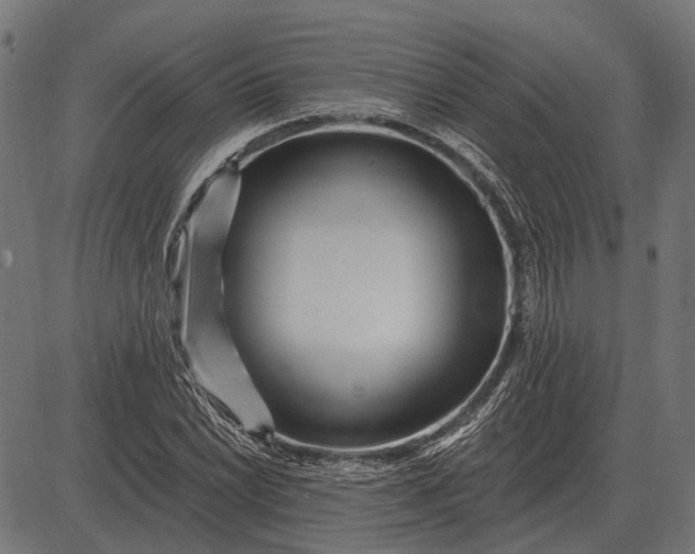 X0000082731022200702091832