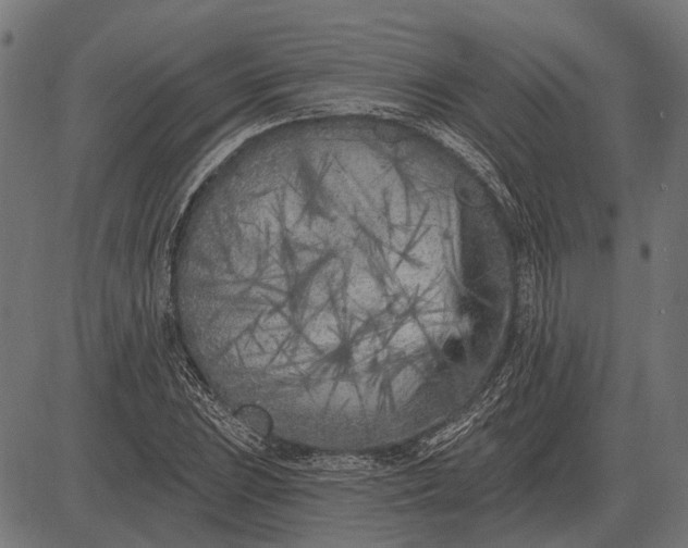 X0000082731023200702091832