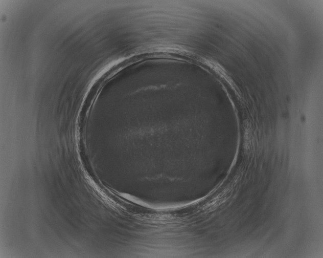 X0000082731024200702091832