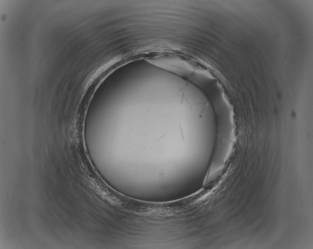 X0000082731026200702091832