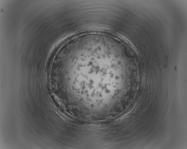 X0000082731027200702091832