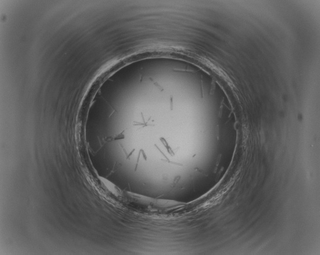 X0000082731029200702091832