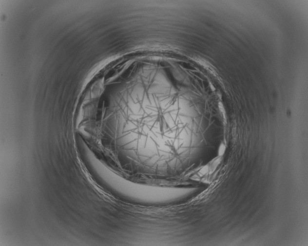 X0000082731030200702091832