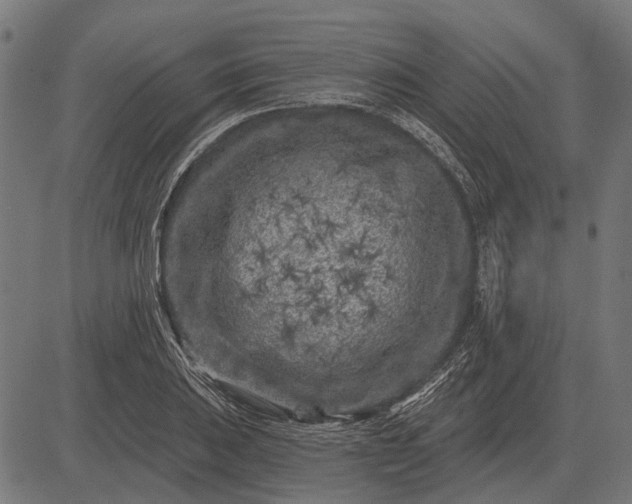 X0000082731031200702091832