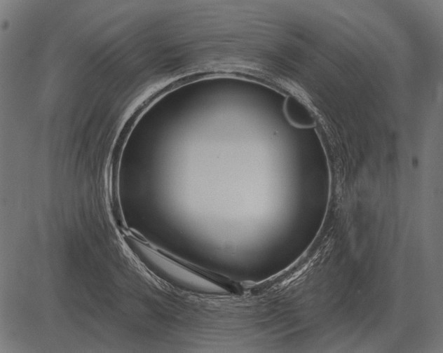 X0000082731032200702091832