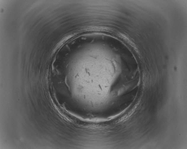 X0000082731033200702091832