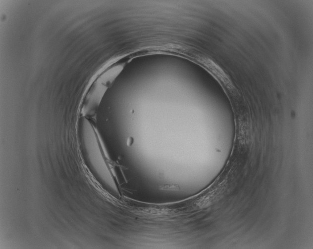 X0000082731036200702091832