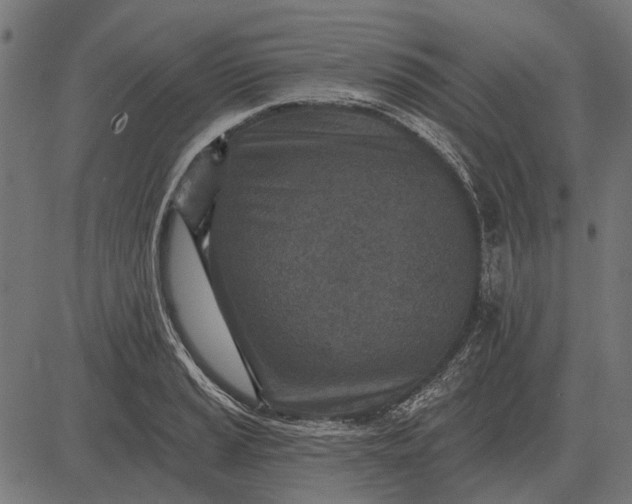 X0000082731037200702091832