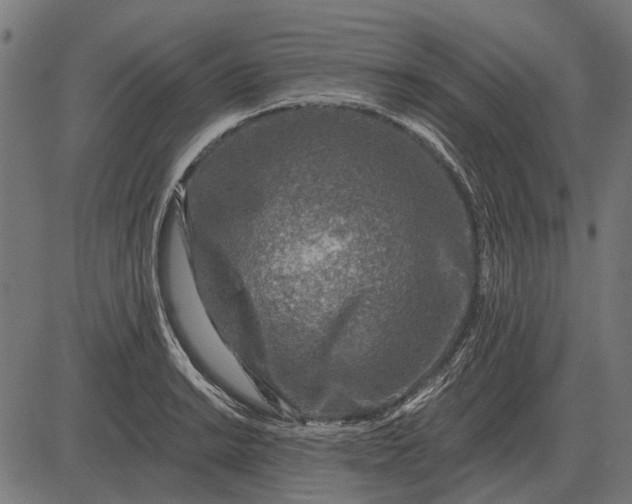 X0000082731038200702091832