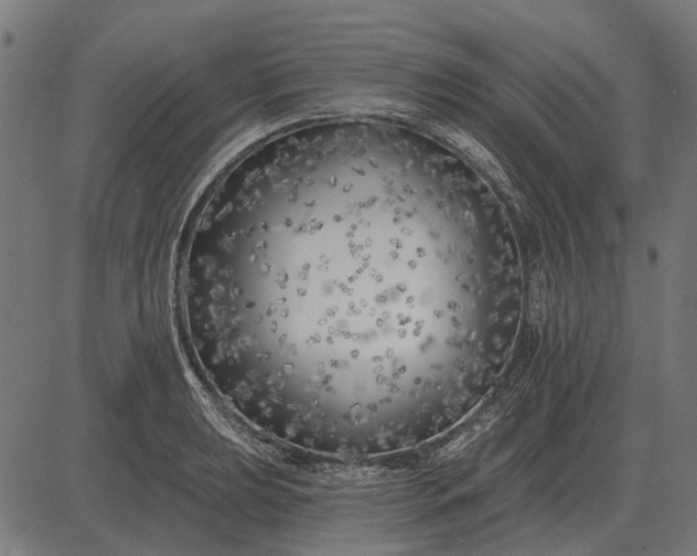 X0000082731039200702091832