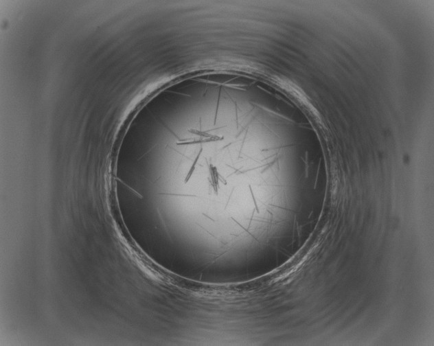 X0000082731040200702091832