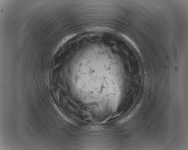 X0000082731041200702091832