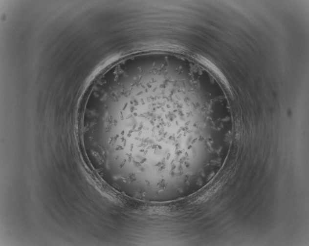 X0000082731043200702091833