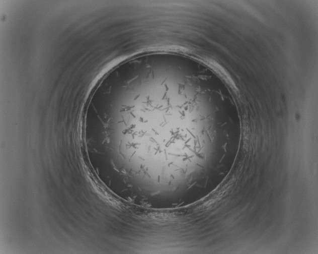 X0000082731044200702091833