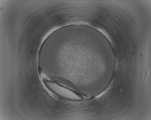 X0000082731046200702091833