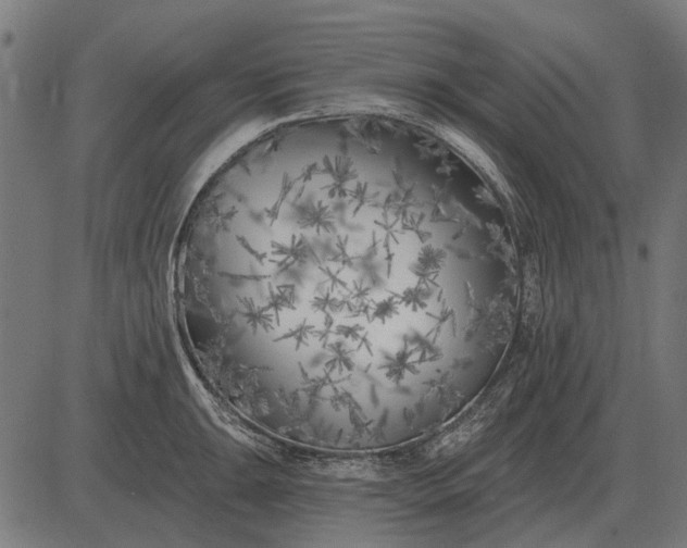 X0000082731047200702091833