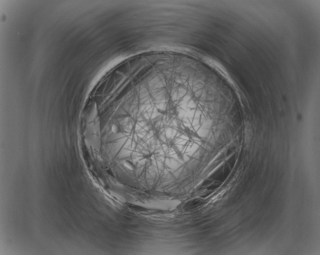 X0000082731048200702091833