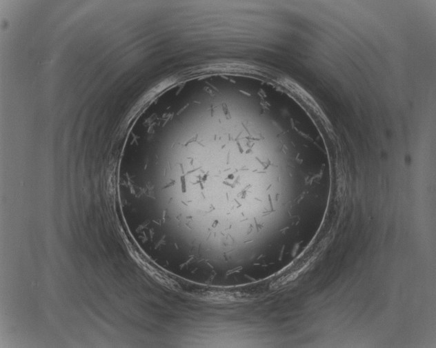 X0000082731049200702091833