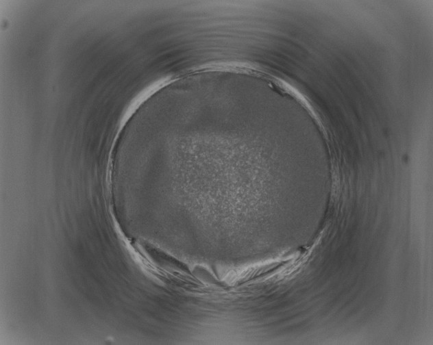 X0000082731050200702091833